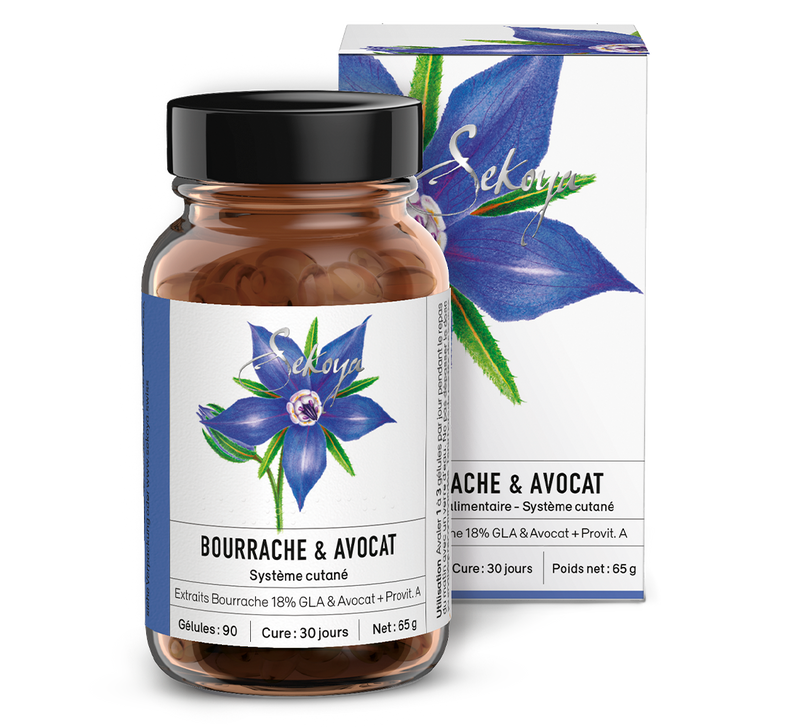 Bourrache